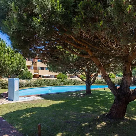 Furadouro Pine Ovar